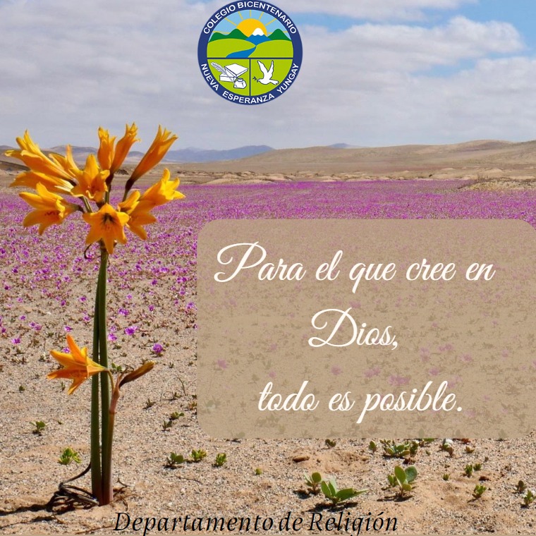 WhatsApp-Image-2022-06-13-at-9.42.35-AM