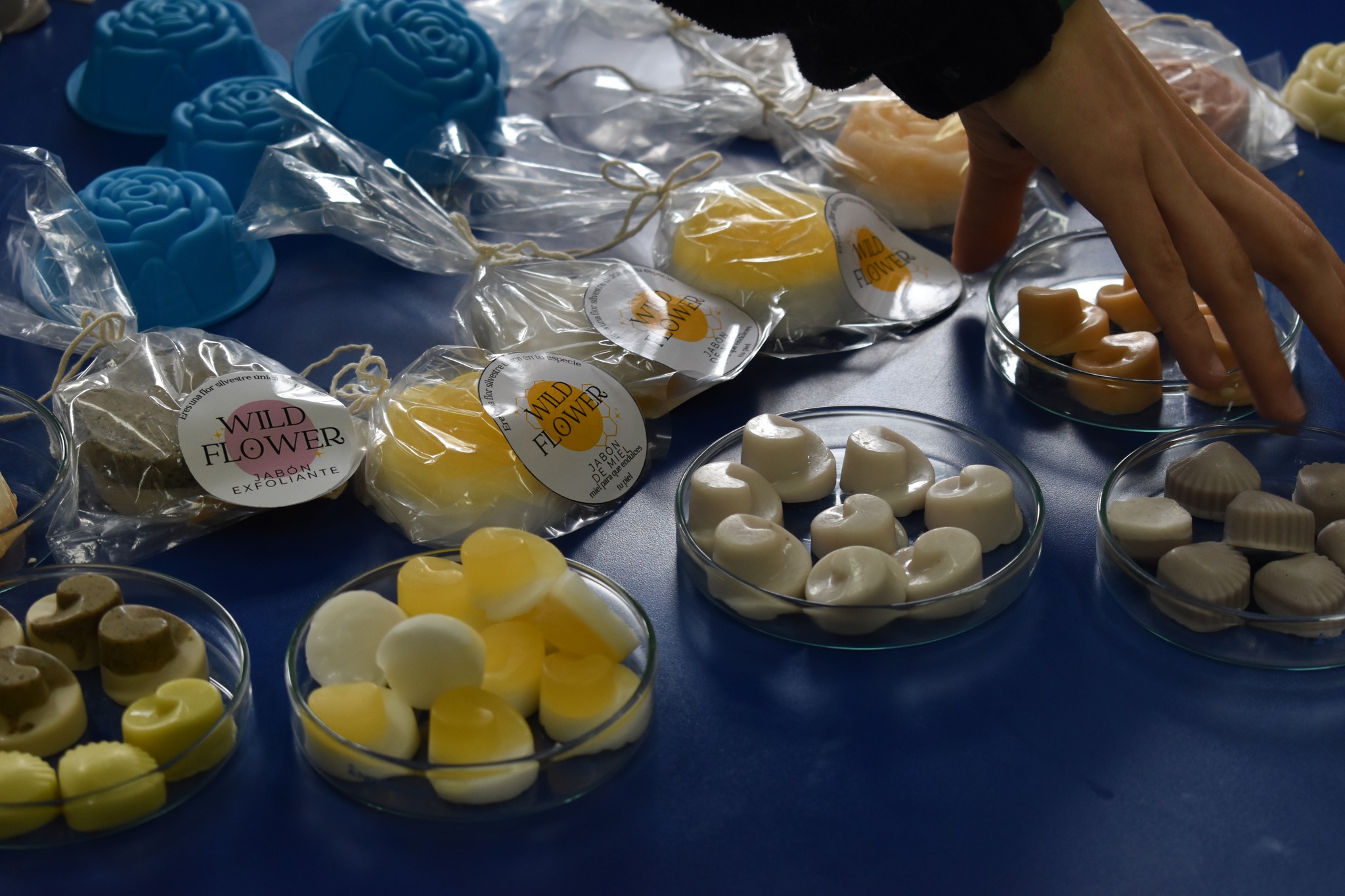 SEMANA CIENCIA - JABONES CREMAS Y DEMÁS